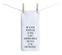 BAUNA Funny Besties Kitchen Towel Best Friend Tea Towel We've Been Friends For So Long Kitchen Decor Housewarming Gift (Bad Influence Towel)