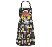 BAUNA K Drama Kitchen Apron Korean TV Show Fans Kitchen Decor K Drama Apron With Pocket Korean Lover Gift Housewarming Gift (KDrama Apron)