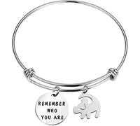 BAUNA Remember Who You are Bracelet Inspired Bangle Lion Gift for Friend (Lion BR)