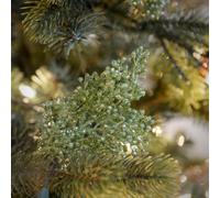 Bavarian Band & Chorus - World's a Stage: Oktoberfest