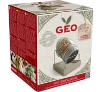 Bavicchi Geo Sprout Glass - 1 item