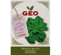 Bavicchi Organic Bloomsdale Spinach - 10 grams