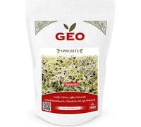 Bavicchi Organic Sprouting Garlic Chives Seeds - 150 grams