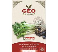 Bavicchi Organic Sprouting Sunflower Seeds - 80 grams