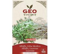 Bavicchi Organic sprouts "Lucerne - Alfalfa" - 40 grams