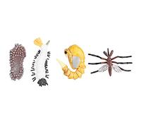 Baxnore Life Cycle Figurines Educational Set Growth Stages Model for Science Learning Biology Classroom Teaching Aid 4PCS (M4184 Mosquito (31.6g))