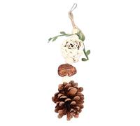 Baxnore Parrot Chewing Toys Safe Corn Husk Bird Cage Hanging Toys Relief Biting Toys for Parrots Hamsters Rabbits Made of Corn Husks Sweet Grass Colorful Strings Durable Fun (Dried Fruit Corn Husk