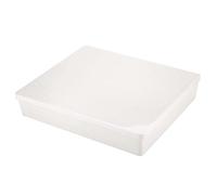 Baxnore Plastic Bee Water Feeder Beehive Drinking Bowl Bee Keeping Equipment Beekeeping Tool