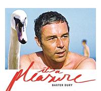 Baxter Dury - It's A Pleasure - CD - J123z