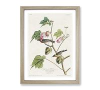 Bay Breasted Warblers From Birds By John James Audubon Vintage Framed Print | A3 Oak Framed Wall Art | Ready to Hang | Classic Nature Picture | Living Room Bedroom Lounge Office