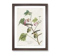 Bay Breasted Warblers From Birds By John James Audubon Vintage Framed Print | A4 Walnut Framed Wall Art | Ready to Hang | Classic Nature Picture | Living Room Bedroom Lounge Office