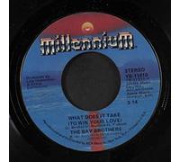 BAY BROTHERS - what does it take / mono 45 rpm single