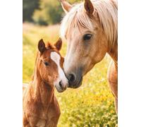 Bay Mare and Foal Journal: Elegant Hardcover Lined Notebook with Summer Meadow Horse Design, 300 Pages, 8.25 x 11 Inches
