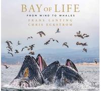 Bay of Life : From Wind to Whales