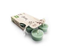 Bayberry Fir Premium Tealight Candles - Highly Scented with Essential Oils - 6 Green Tea Lights - Beautiful Candlelight - Made in The USA - Christmas & Holiday Collection