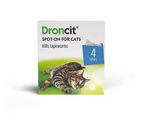 Bayer Droncit Tapewormer 20mg Spot-on solution for Cats from 2.5 to 5 kgs, Pack of 4 Pipettes