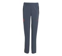 Bayern Munich kids' joggers 2025/26 Grey 9/10 years