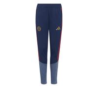 Bayern Munich kids' joggers 2026/27 Violet 7/8 ans