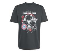 Bayern Munich T-shirt Seasonal Graphic 2026/27 Gris XS