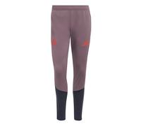 FC Bayern 26/27 Cup Training Pants