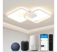 BAYHT Ceiling Light with Remote Control, Living Room Lamp with Matter Compatible with HomeKit, Alexa, Google and IFTTT, 48W Modern LED Ceiling Lights for Bedroom Living Room