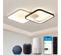 BAYHT Ceiling Light with Remote Control, Living Room Lamp with Matter Compatible with HomeKit, Alexa, Google and IFTTT, 48W Modern LED Ceiling Lights for Bedroom Living Room