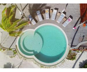 Bayley's Home Truths