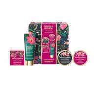 Baylis & Harding Boudoire Tropical Paradise Luxury Pamper Tin Gift Set (Pack of 1) - Vegan Friendly