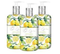Baylis & Harding Luxury Hand Wash Vegan Friendly All Scents Pack of 3