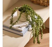 Bayswood Artificial Green Trailing Leaf in Ceramic Pot