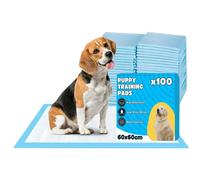 Bazaar Large Puppy Pads 100 Pack 60x60cm - Disposable Puppy Training P