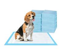 Bazaar Large Puppy Pads 100 Pack Disposable Puppy Training Pads 60x60cm | Highly Absorbent Leak-Proof Dog Training Pads | Premium Quality Quick-Dry Dog Pads (60x60cm - 100 Count)
