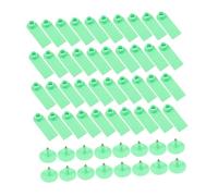 BAZEITFLOW 100pcs Plastic Sheep Ear Tags for Goats Cattle and Pigs Livestock Identification Green Animal Tags for Farm Management