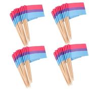 BAZEITFLOW 100pcs Rainbow Flag Fruit Picks Dessert Toppers Party Food Decorations Creative Toothpick Flags for Cupcakes Appetizers Lgbtq Pride Celebration Supplies