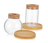 BAZEITFLOW 2 Pcs Glass Plant Propagation Jars with Bamboo Stand Small Round and Cylindrical Hydroponic Vase for Flower Display Glass Planter Bowls for Indoor Living and Office Decoration