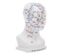 BAZEITFLOW 20cm White Head Acupuncture Model 4 Functional Acupoints Facial Massage High Definition Head Acupoint Teaching Model for Chinese Medicine Training