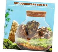 BAZEITFLOW 2pcs Glass Plant Bottle Micro Landscape Diy Decorative Terrarium Ecological Bottle