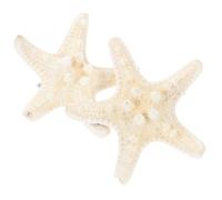 BAZEITFLOW 2pcs Hairpin Accessory Beachy Hair Accessories Catch Yes Women Shape Element Beige