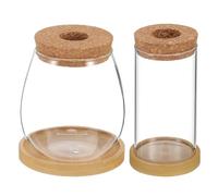 BAZEITFLOW 2pcs Hydroponic Plant Propagation Jars with Cork Lid and Tray Borosilicate Glass Indoor Planter Vases for Succulents Air Plants Miniature Gardens Water Planters for Home Decor