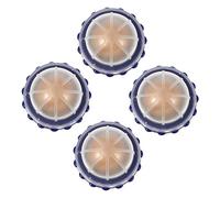 BAZEITFLOW 4pcs Cat Treats Lickable Ball Natural Catnip Edible Herbal Snack Improves Tongue Movement Stickable Blue Balls for Cats Indoor Use