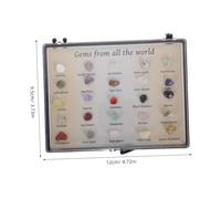 BAZEITFLOW Acrylic Rock Collection Box with Mini Crystal Specimens for Geology Education Compact Gemstone Display Case for Student Learning and Home Decor