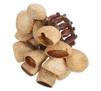 BAZEITFLOW African Dance Bracelet Natural Nut Shell Handbell Wristband Handmade Percussion Shaker Craft Instrument for Yoga Party Adults