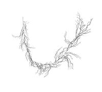 BAZEITFLOW Black Curly Willow Vine Garland Realistic Plastic Branch Garland for DIY Halloween Decor for Witches Haunted House Indoor Outdoor Rustic Seasonal Craft