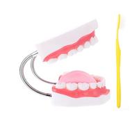 BAZEITFLOW Enlarged Teeth Model with Toothbrush for Teaching Educational Plaything to Hand Eye Coordination and Promote Oral Care Learning for Boys