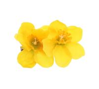 BAZEITFLOW Faux Narcissus Hairpin Yellow Daffodil Blossom Clip Elegant Side Bang French Pin for Women Party Wedding Accessories