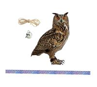 BAZEITFLOW Garden Hanging Owl Ornament with Bell Outdoor Bird Scare Device for Tree and Garden Rotating Reflective Scare Decoy to Frighten Birds and Pigeons Easy Install Decorative Animal