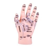 BAZEITFLOW Hand Acupuncture Model for Reflexology and Massage Education Markings for Teaching Simulation Tool for Training