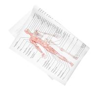 BAZEITFLOW Human Anatomy Poster Skeletal Muscle Teaching Chart Silk Cloth Body Structure Painting for Medical Education Office Classroom Display