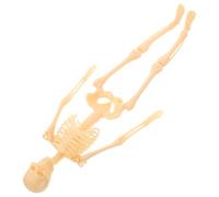 BAZEITFLOW Human Anatomy Skeleton Model Full Body DIY Assembly Educational Figure for Medical Study and Teaching Aid with Smooth Surface Safe for Students and Science Enthusiasts