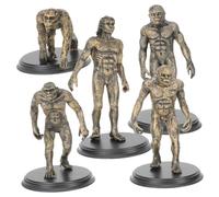 BAZEITFLOW Human Evolution Model Educational Science Experiment Figures for Learning Cognition Early Development Playthings for Boys Age Stem Educational Use